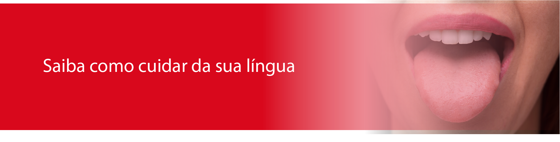 Prótese Fixa em 24h OralPlan